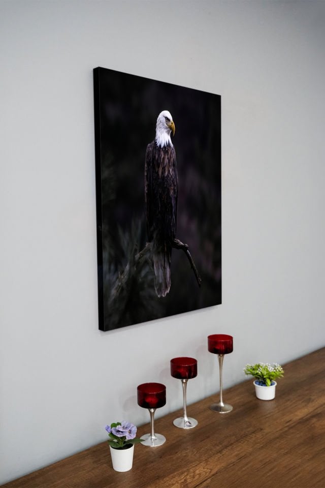 Dekoratif Kanvas Tablo ESK0023